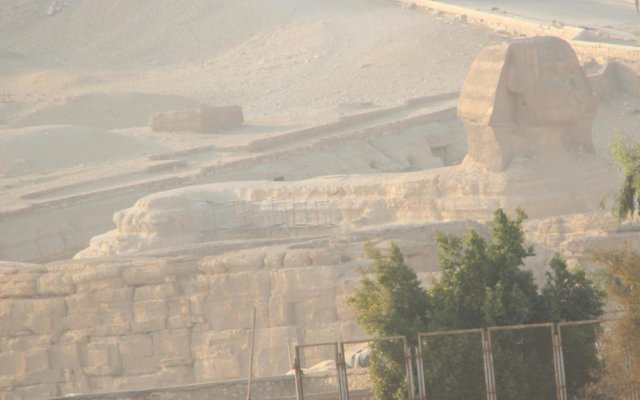 Farida Pyramids View