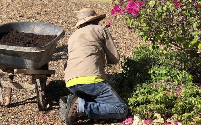 Cartagena Beach Bungalows