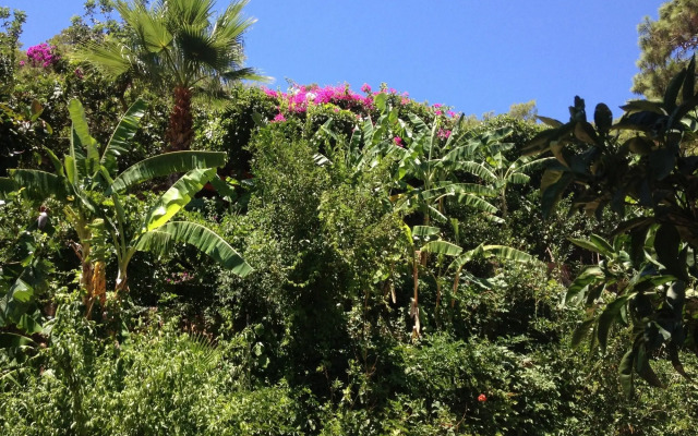 Aygul Hotel