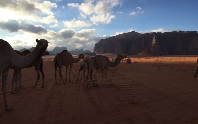 Bedouin Host Camp