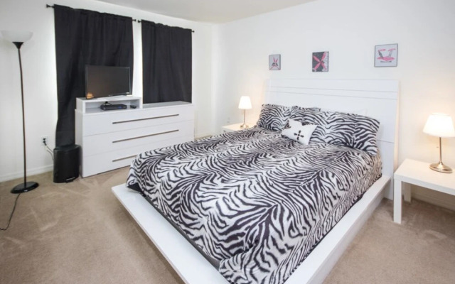 Compass Bay 3131