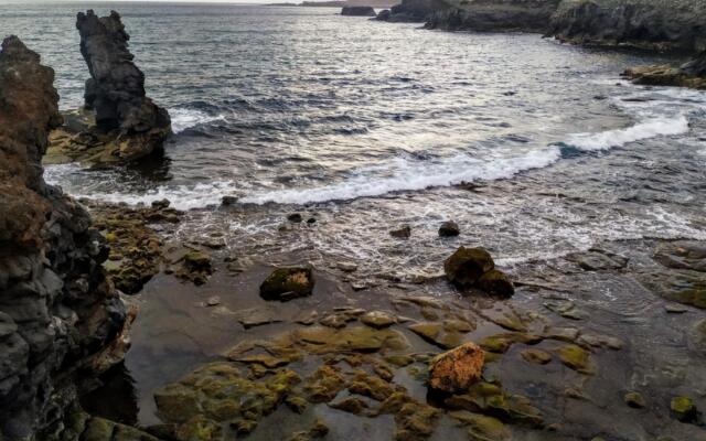 Home2Book Design Playa Las Canteras, Wifi