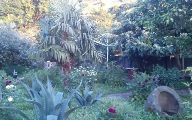Guesthouse Jafara