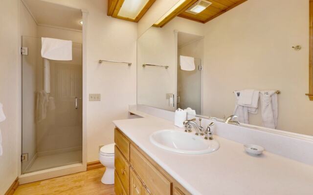 Starlight Vistas #1524