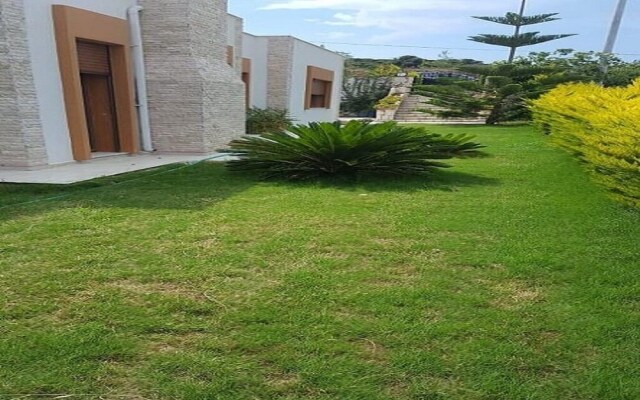 CE004 by Villaofsummer