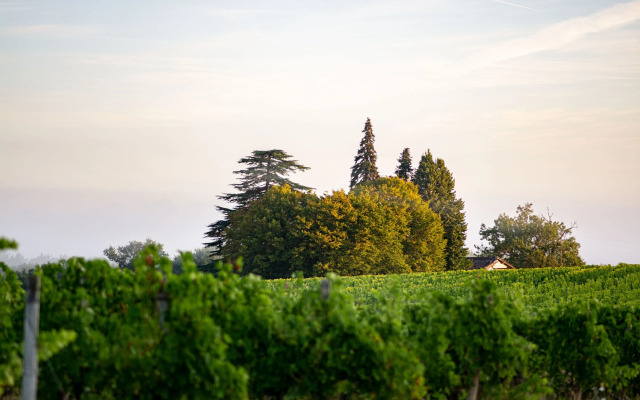 VANDENBELD Wines B&B