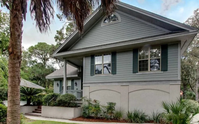 Sandhill Crane 03 by RedAwning