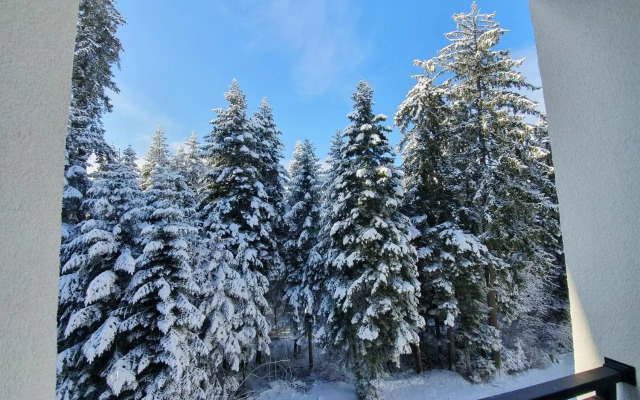 Pinewood ANG luxurious apartment A43, Borovets Gardens