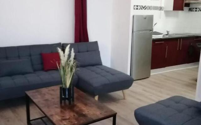 Appatement T3 meublé à neuf