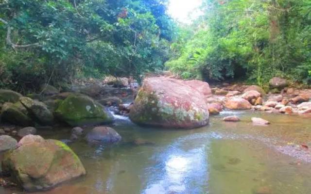 Hoja Verde Bungalows