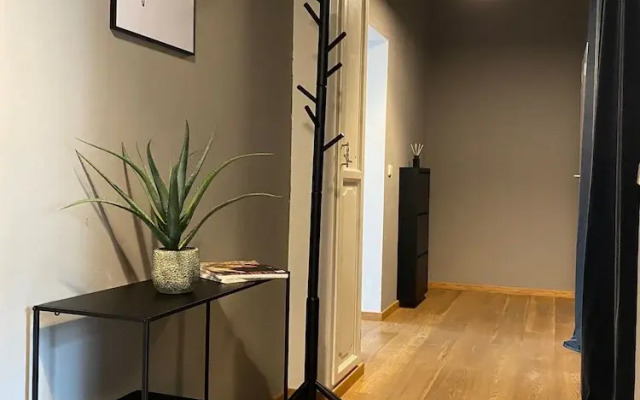 Room-spacious Room in Coliving Apartment