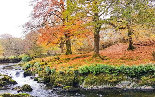 The Firecat Country House B&B