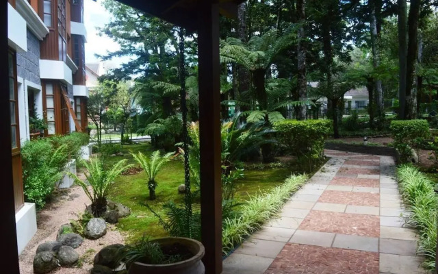 Bosque de Viena - Natal Luz