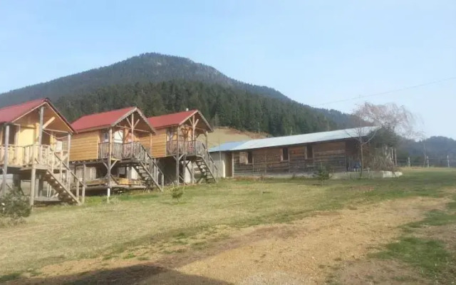 Pilavdagi Tatil Koyu