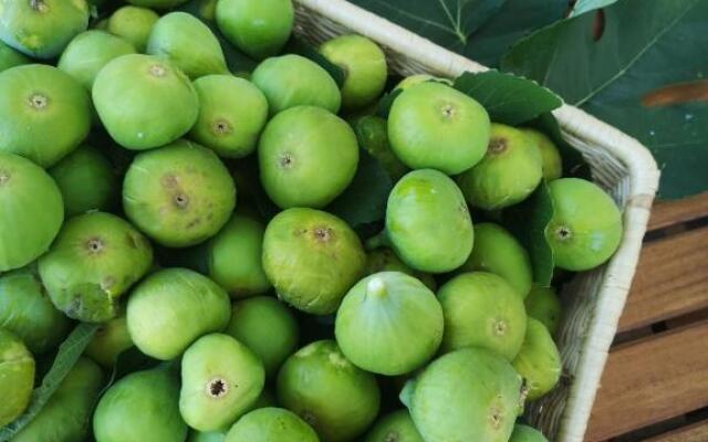 Maison Tuscany Bed&Breakfast