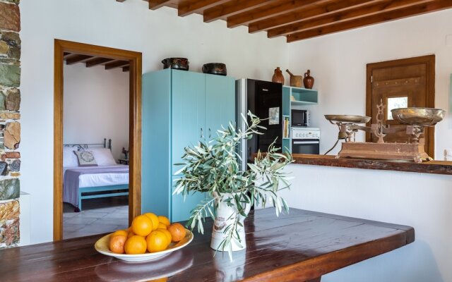 Charming 1-bed House in Stafylos