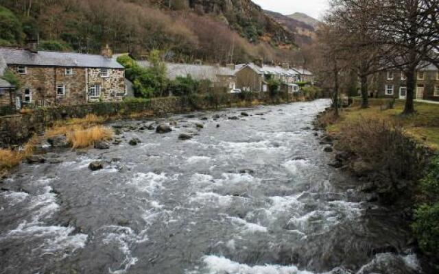 Bryn Dinas Camping Pods Ltd.