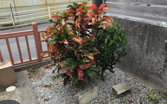 Traditional Villa Kin Shibiranka