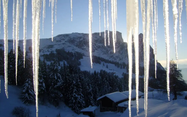 Hotel Seelaus