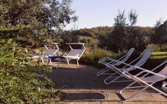 Podere Pievina Delle Corti