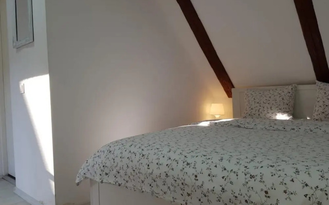 Pensiunea Bergwald Rasnov by BuySellRent