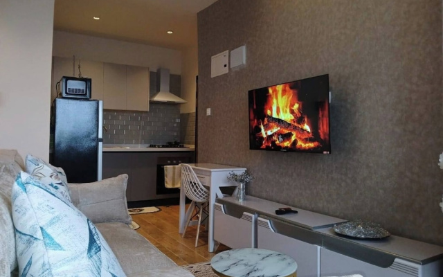 Executive one Bedroom Kilimani