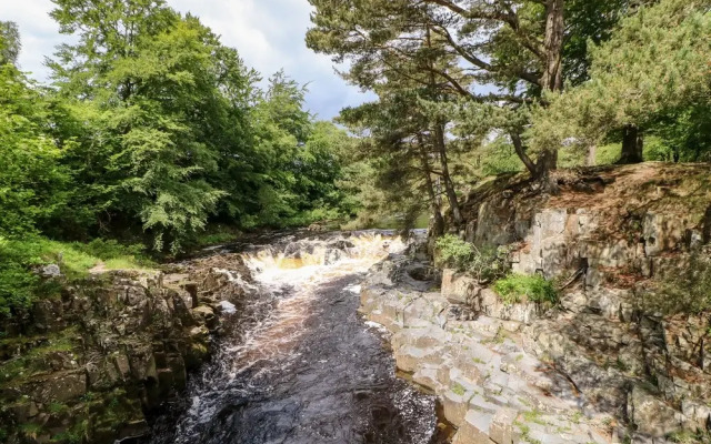 Meadows Edge