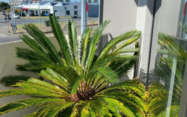 Napier Apartment Ahuriri