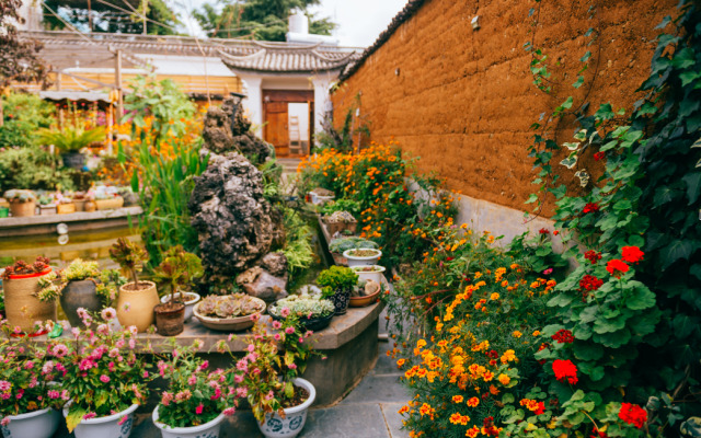 Dali Shaxi Gumo Hostel