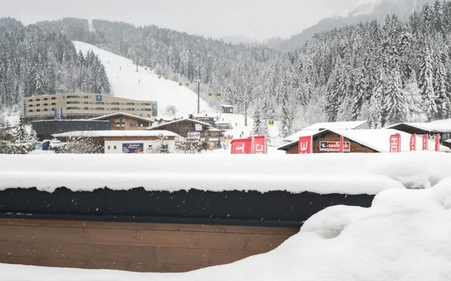 Apartment Near Doischberg ski Area