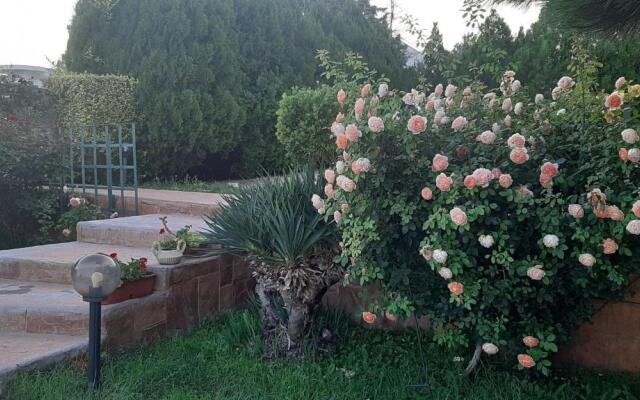 Villa Byala Grape House