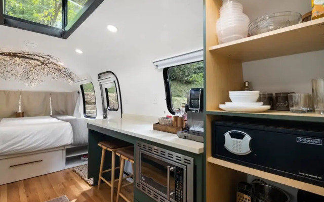 Royal Fern in Pisgah Forest