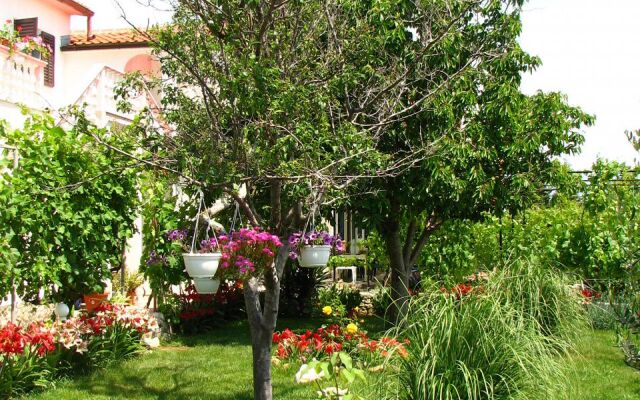 Apartment Nika - nice garden: A4 Nin, Zadar riviera