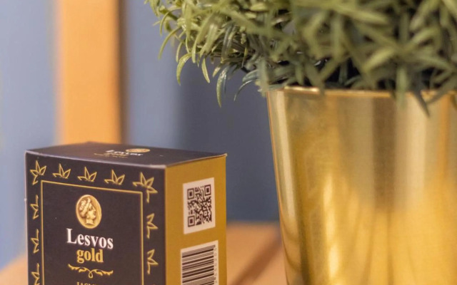 Amazing Penthouses with Acropolis View