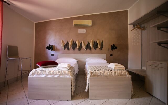 B&B Trepo