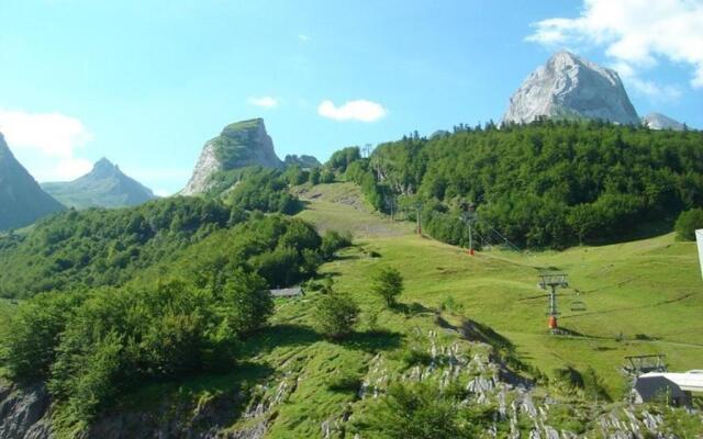 Appartement Gourette, 1 pièce, 6 personnes - FR-1-400-38
