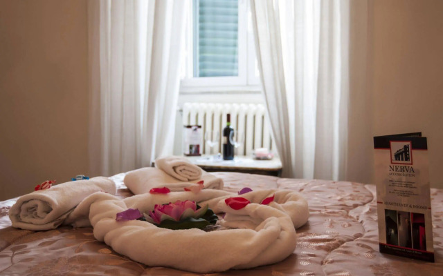 Nerva Accommodation