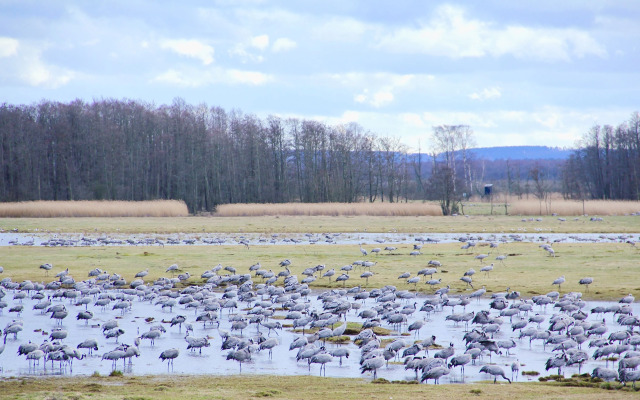 Tryde 1303 B&B på Österlen