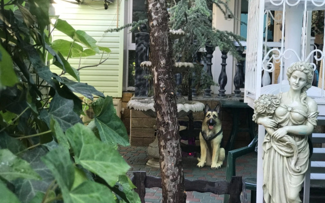 Magic Patio