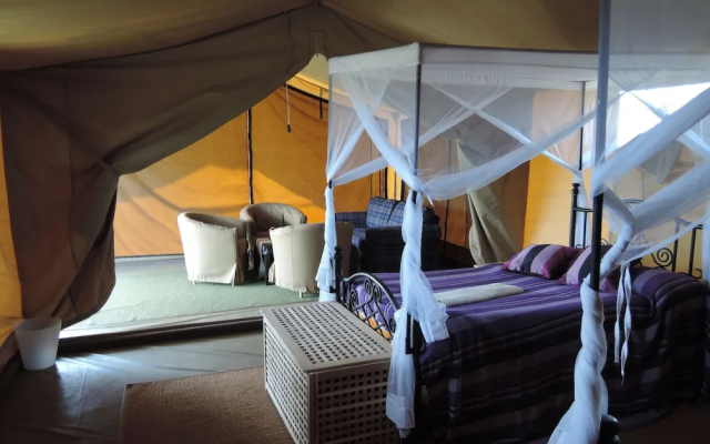 Serengeti Wild Camp