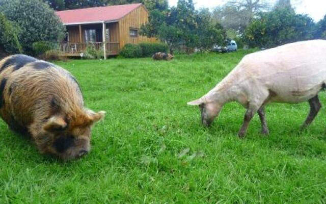 Kerikeri Farm Hostel