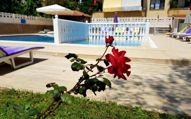 Palmen Apart Hotel