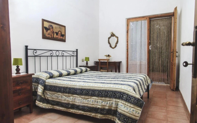 Ulivo in Maltraverso