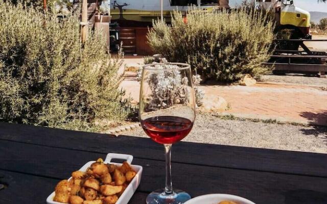 Ecovino Valle de Guadalupe