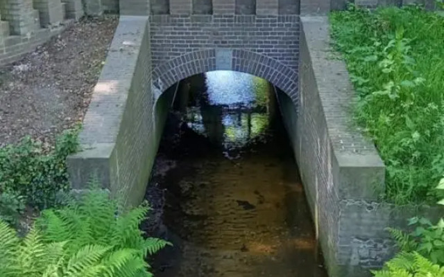 't Hertje