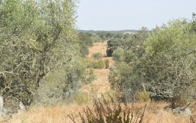 Tranquil Alentejo Villa With Pool