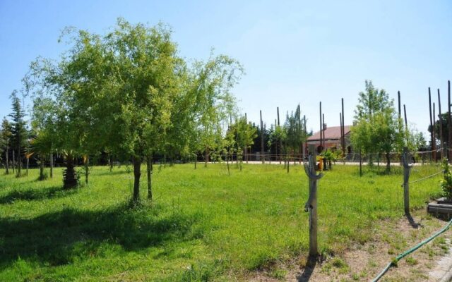 The Camp