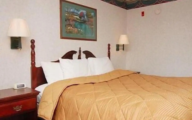 Comfort Inn Edmund Pettus Bridge area