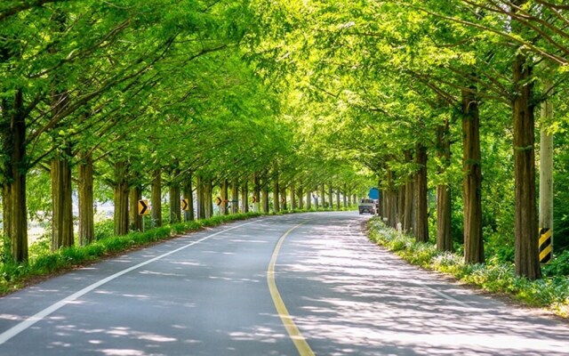 Damyang Dambit Pension