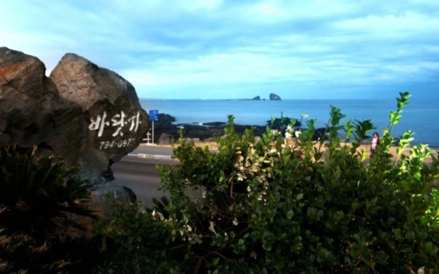Seogwipo Hyeongjebawibada Pension